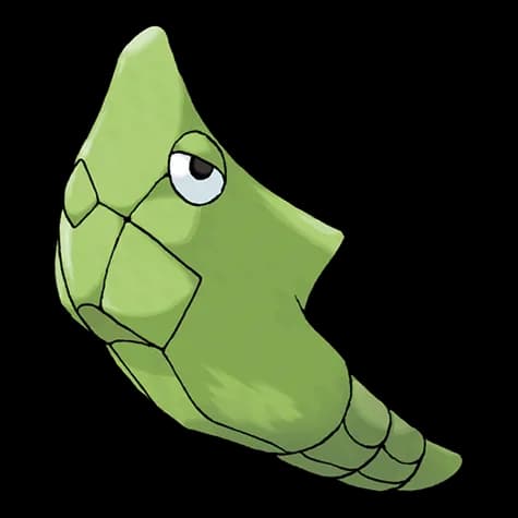 metapod