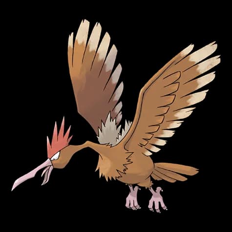 fearow