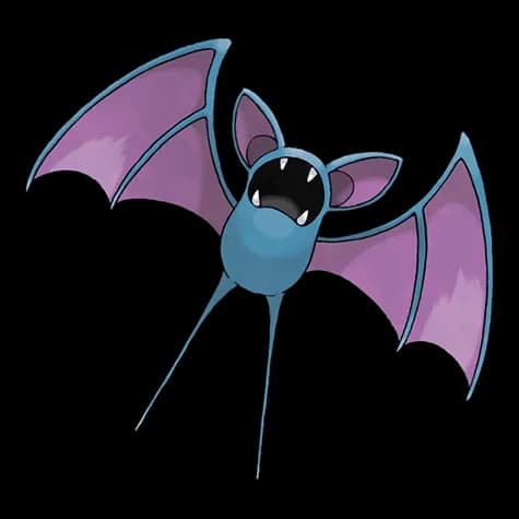 zubat